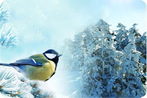 Евгений Чертенков