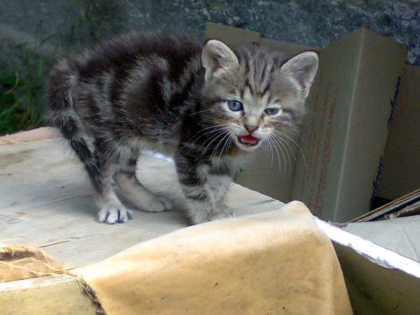 Костя Зайцев