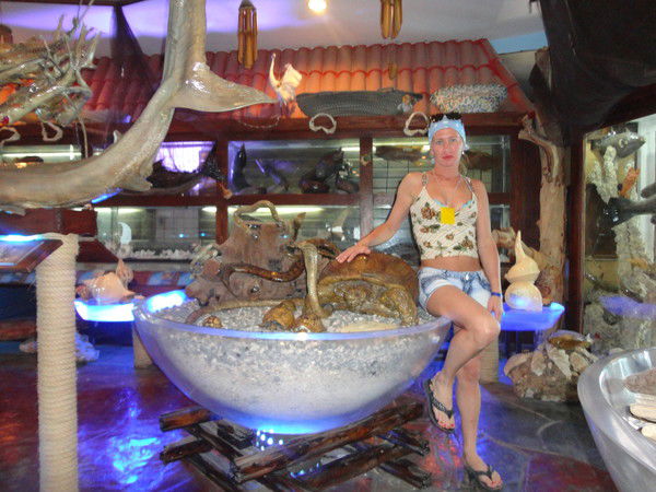 Елена Порошина