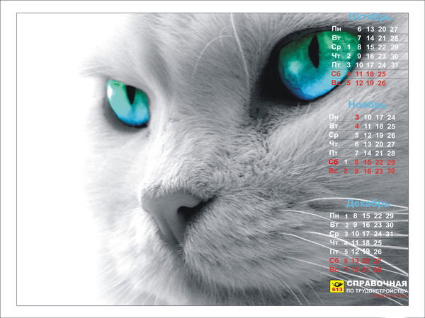 Елена Федорченко