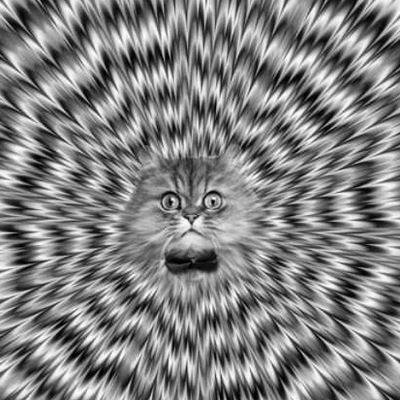 Ігор Козовий