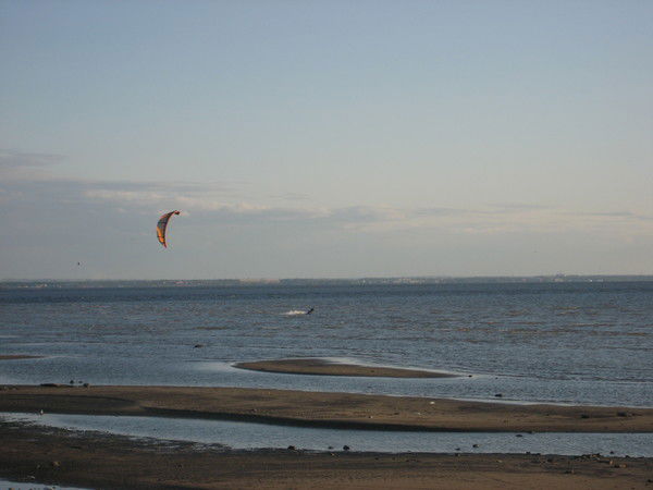 Наталья Воронцова