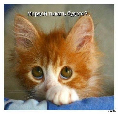 Сергей Стулов