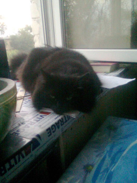 Наталья Орлова