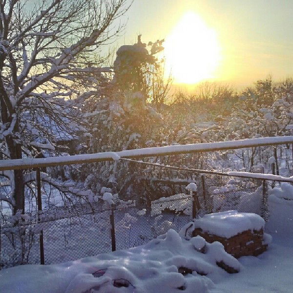 Наталья Рубежная