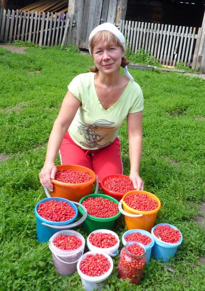 Галина Горнова