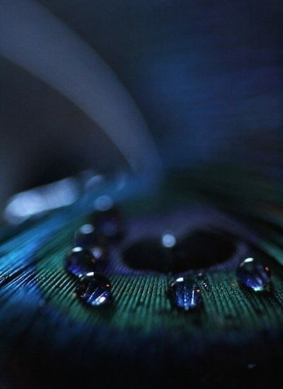 Гриша Германов