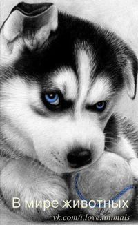 Игорь Казанжи