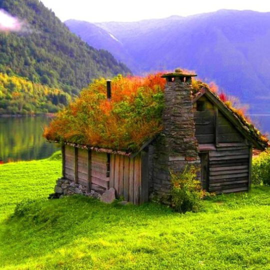 Эмиль Жданов