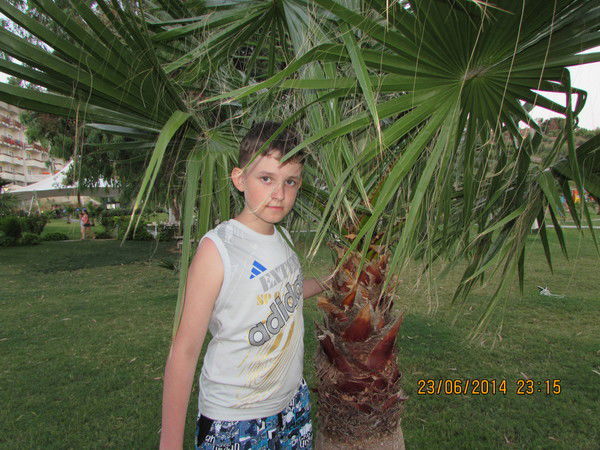 Георгий Показанов