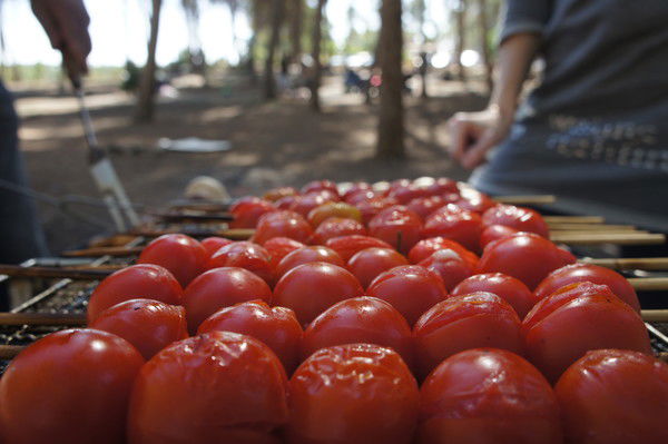 Николай Вялых