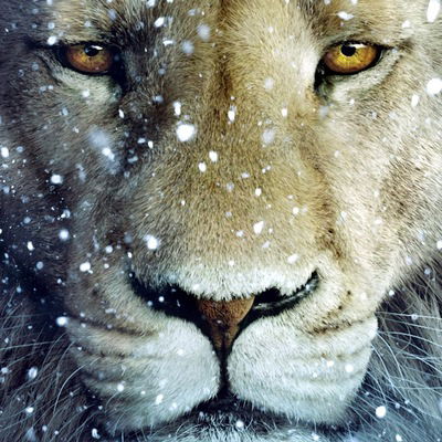 Оля Богданова