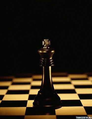 Дмитрий Нижегородцев