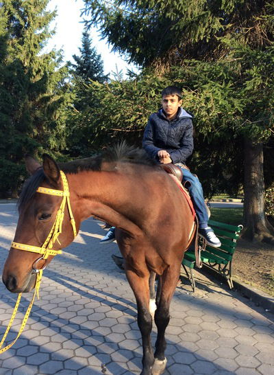 Мурат Багиров