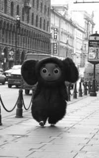 Женя Новоселова