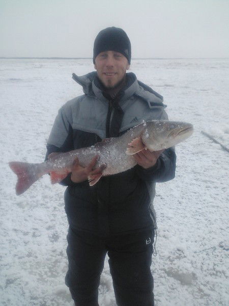 Михаил *******