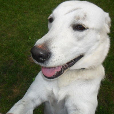 Семён Маржин