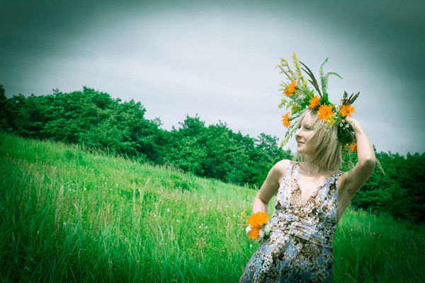 Елена Донская