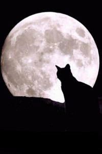 Ирина Деева