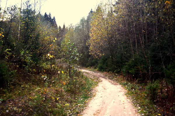 Саша Рятченкова