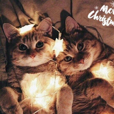 Ольга Яковлева