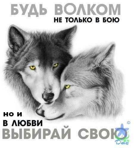 Андрей Багимов