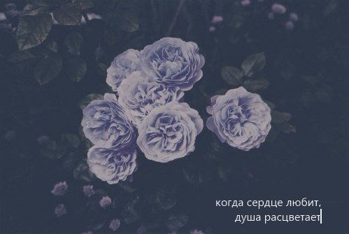 °°Сандугаш°° °°Шакенова°°