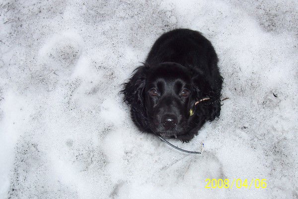 Игорь Фатеев