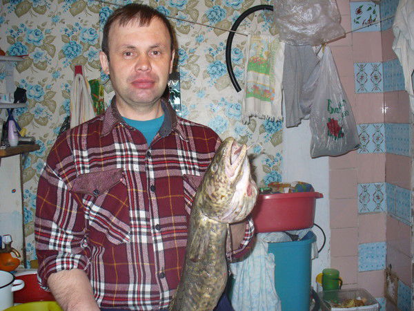 Владимир Немиро