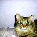Вера Половникова