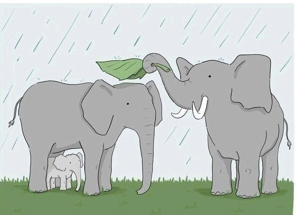 Салимжан Жангабулов