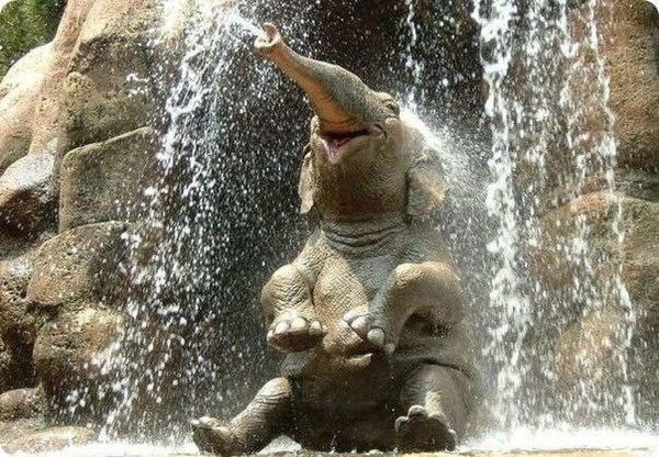 Алия Аскарова