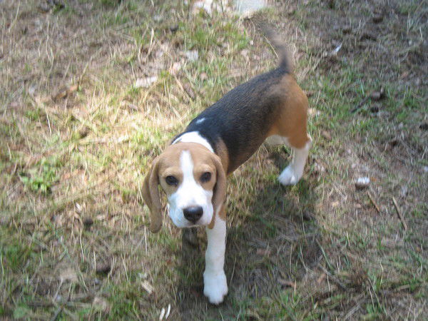 Валерий Тимохин