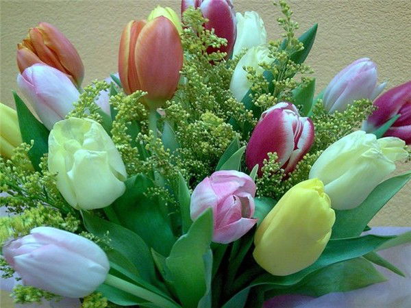 Магрипа Дусимбаева