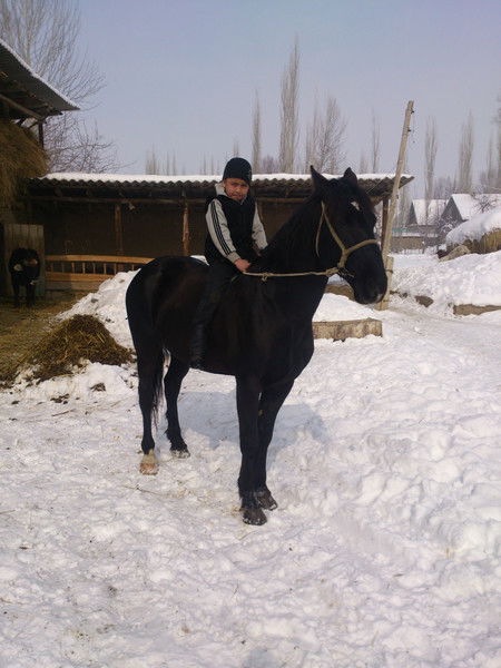 Эмил Жетимишов