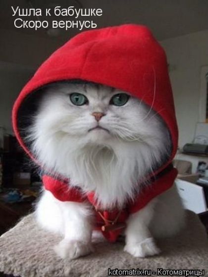 Александр Пронин