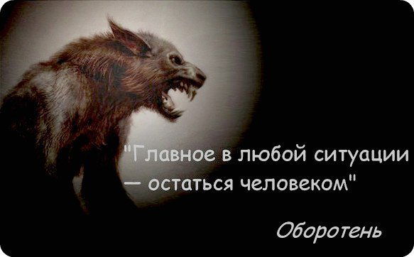 Евгений Шалыгин