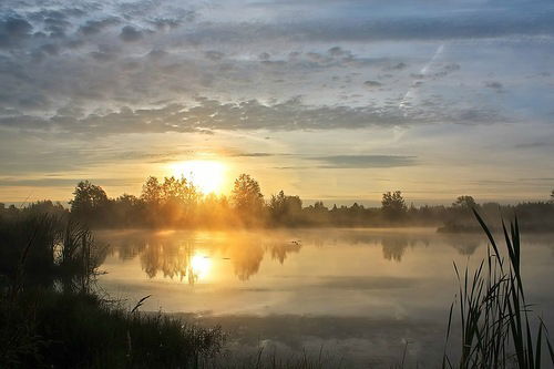 Татьяна Золотарева