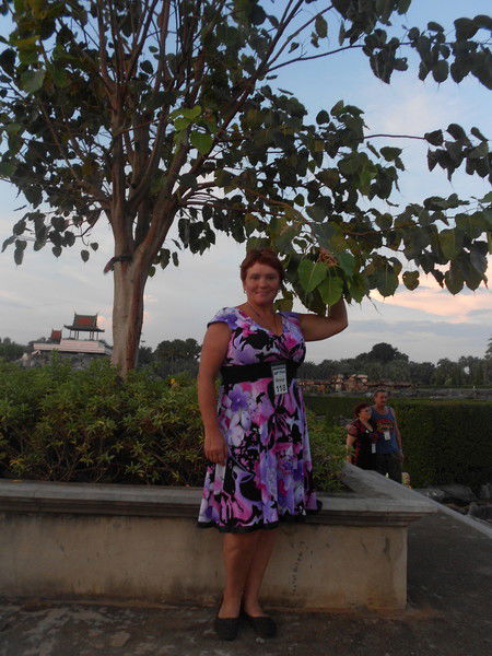 Альбина Войтович