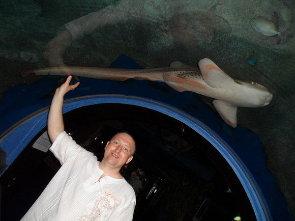 Александр Нечаев