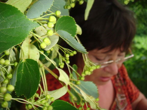 Галина Хайдукова