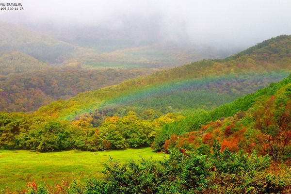 Мира Султанбекова