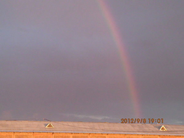 Вячеслав Шелкунов