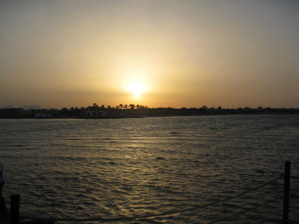 Светлана Семенова