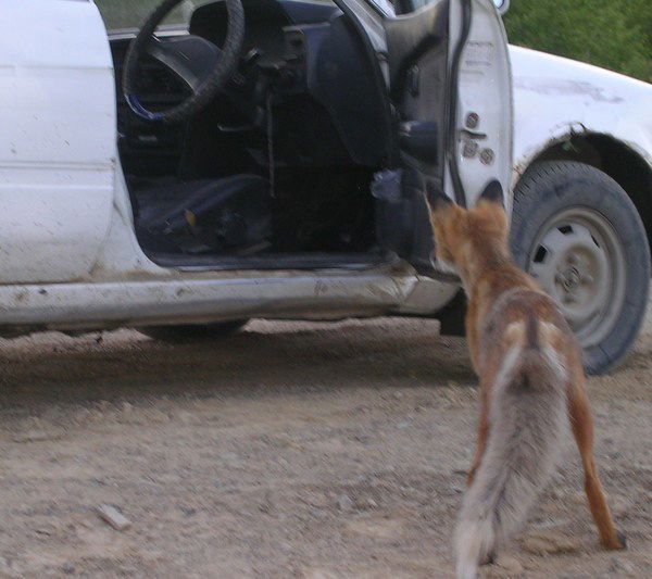 Александр Ермаков