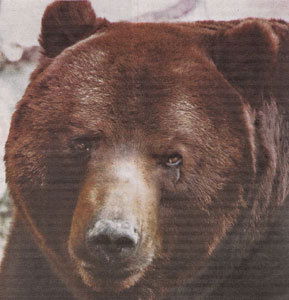 Машков Пётр