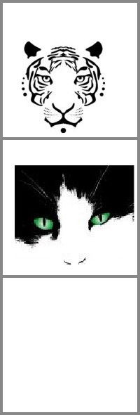 Ирина Зайцева