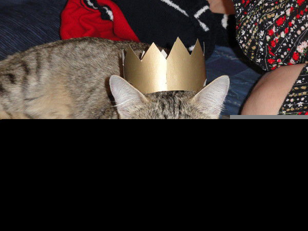 Леша Криводанов