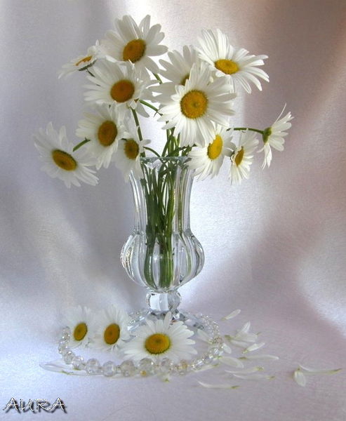 Елена Пужлякова