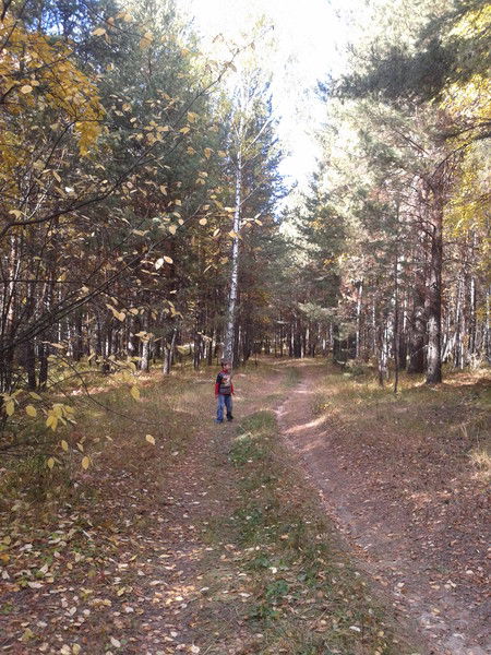 Андрей Черкасов